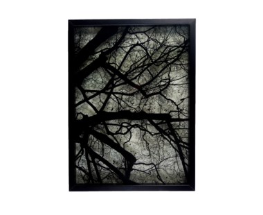 Paper Cutting by Marcel Heijnen - C